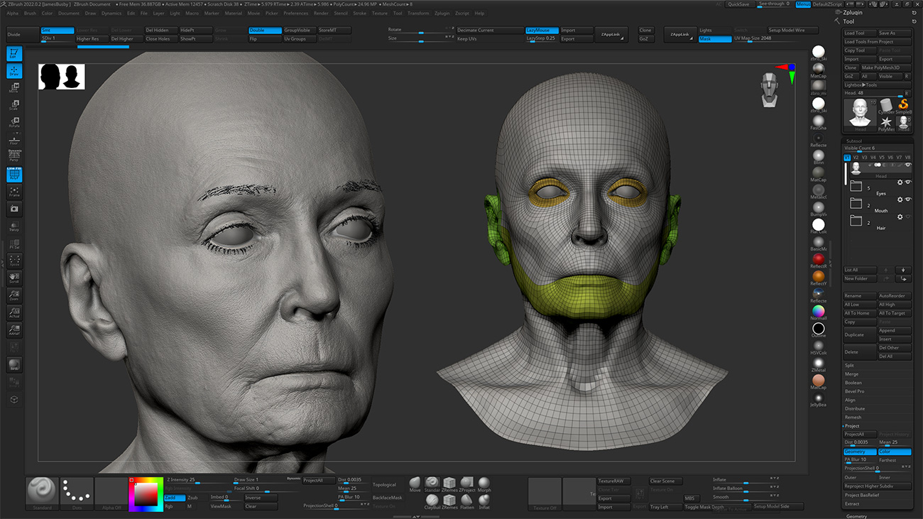 Download Zbrush head sculpt